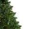 7.5ft. Pre-Lit Full Pike River Fir Artificial Christmas Tree, Multicolor LED Lights